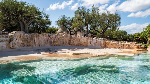 Une piscine aux eaux claires, bordée d’un muret en pierre, avec des arbres en arrière-plan.