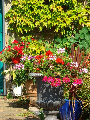 belle demeure pleine de charme avec parc attenant et parking. 
