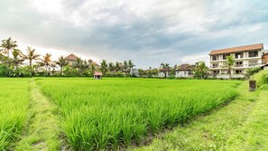 Pemandangan dari properti