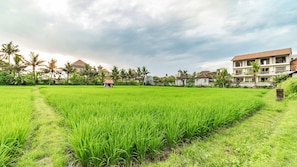 A rural landscape with a large green field, possibly a rice paddy, and a small structure in the middle. In the background, there are several houses with red roofs and white walls, surrounded by palm trees. - Juli House (Ubud)