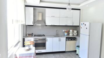 Oven, stovetop, dishwasher, cookware/dishes/utensils