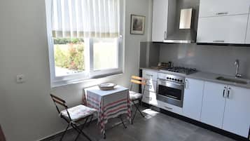 Oven, stovetop, dishwasher, cookware/dishes/utensils