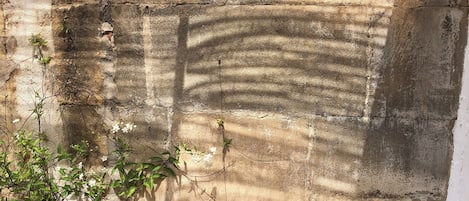 DĂ©tail de lâextĂ©rieur