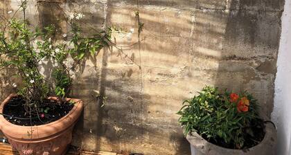 Cosy house, old town center, large terrace.