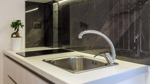 A modern kitchen with a stainless steel sink, black countertop, and a potted plant.