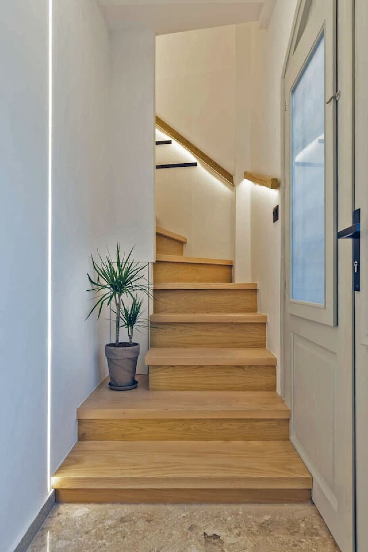 A staircase with wooden steps leading to a landing, a potted plant on the landing, and a door with a frosted glass panel.