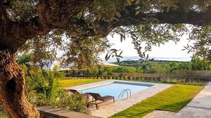 Une piscine rectangulaire avec une terrasse carrelée, entourée d’une pelouse bien entretenue et d’un arbre.