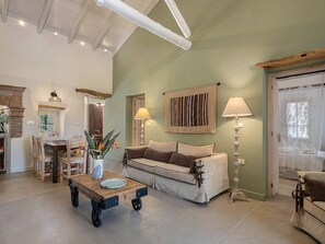 TV, fireplace, video games