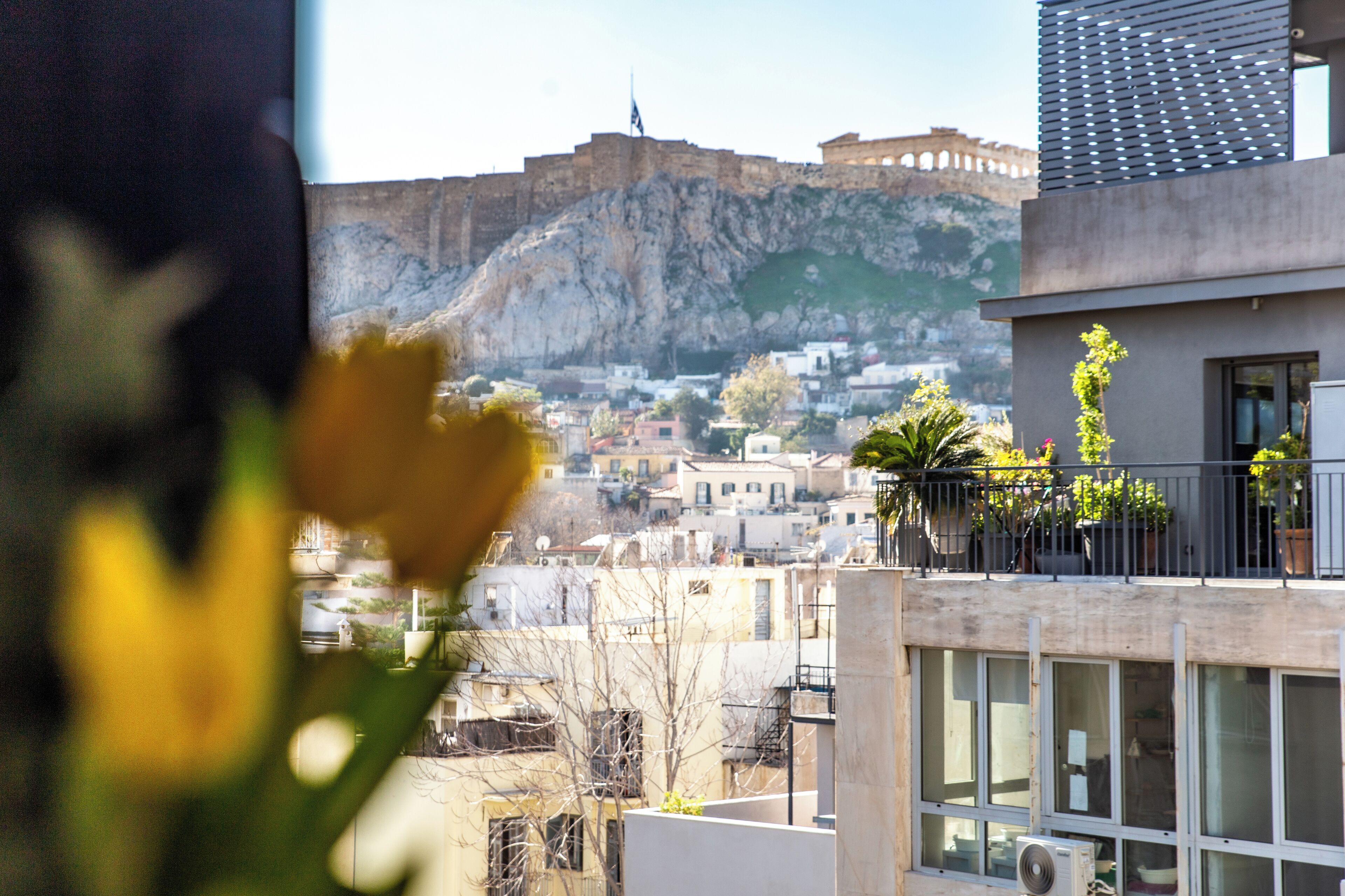 Photo - NOOS Acropolis