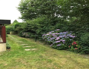 Garden - Bungalow for 4 People in Wildrijk (Sint Maartensvlotbrug)