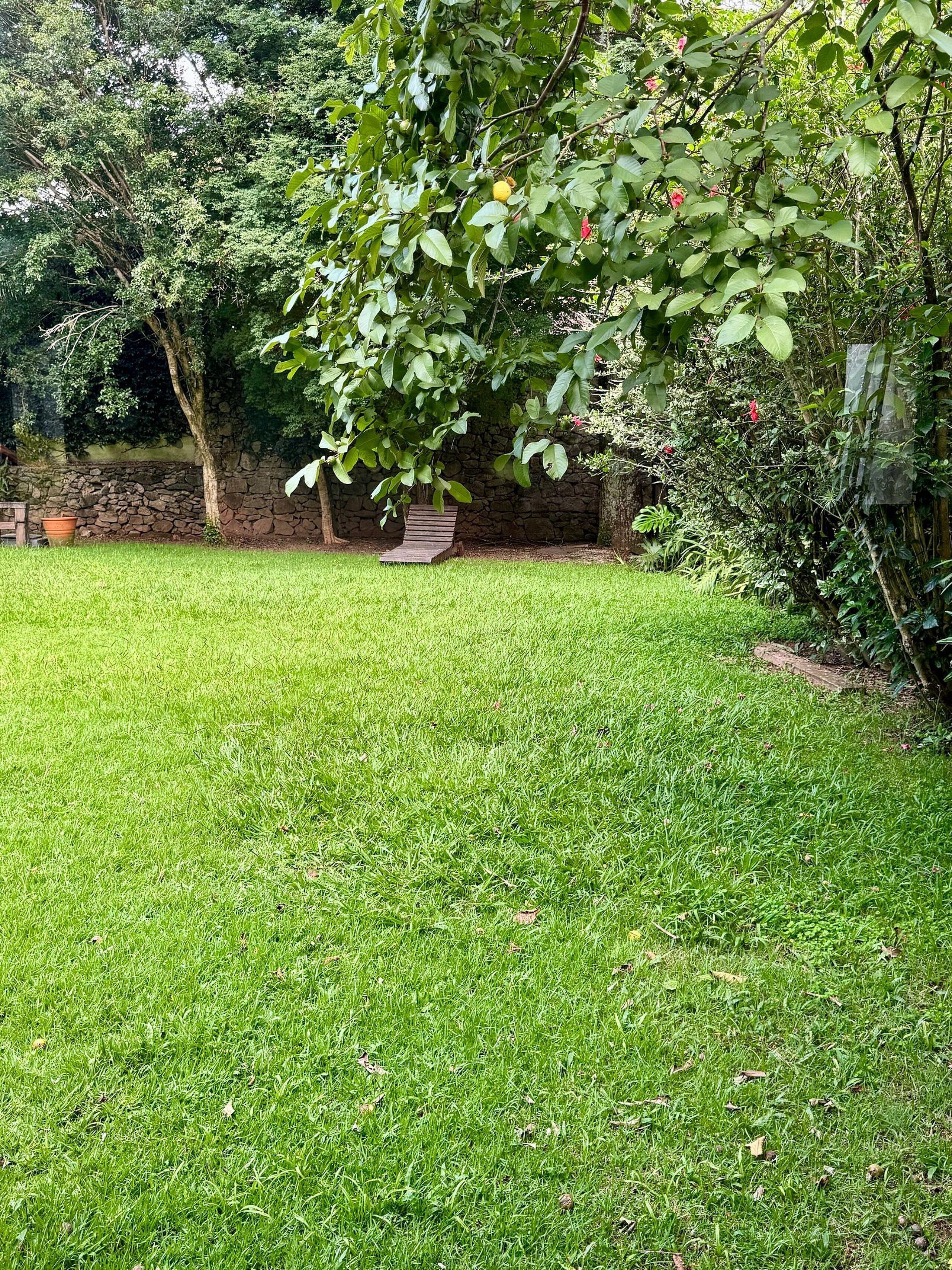 A grassy backyard with a stone wall, a wooden swing, and dense foliage.