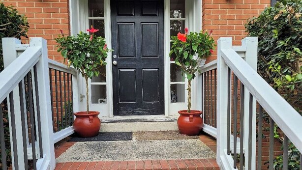 Une maison en briques avec une porte d’entrée noire, des rampes blanches et deux plantes en pot placées sur les marches.