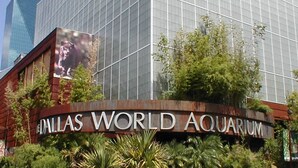The exterior of the Dallas World Aquarium with a large sign and glass facade. - Best of Desoto 4BR,3BA with Pool, HotTub, Cinema (DeSoto)