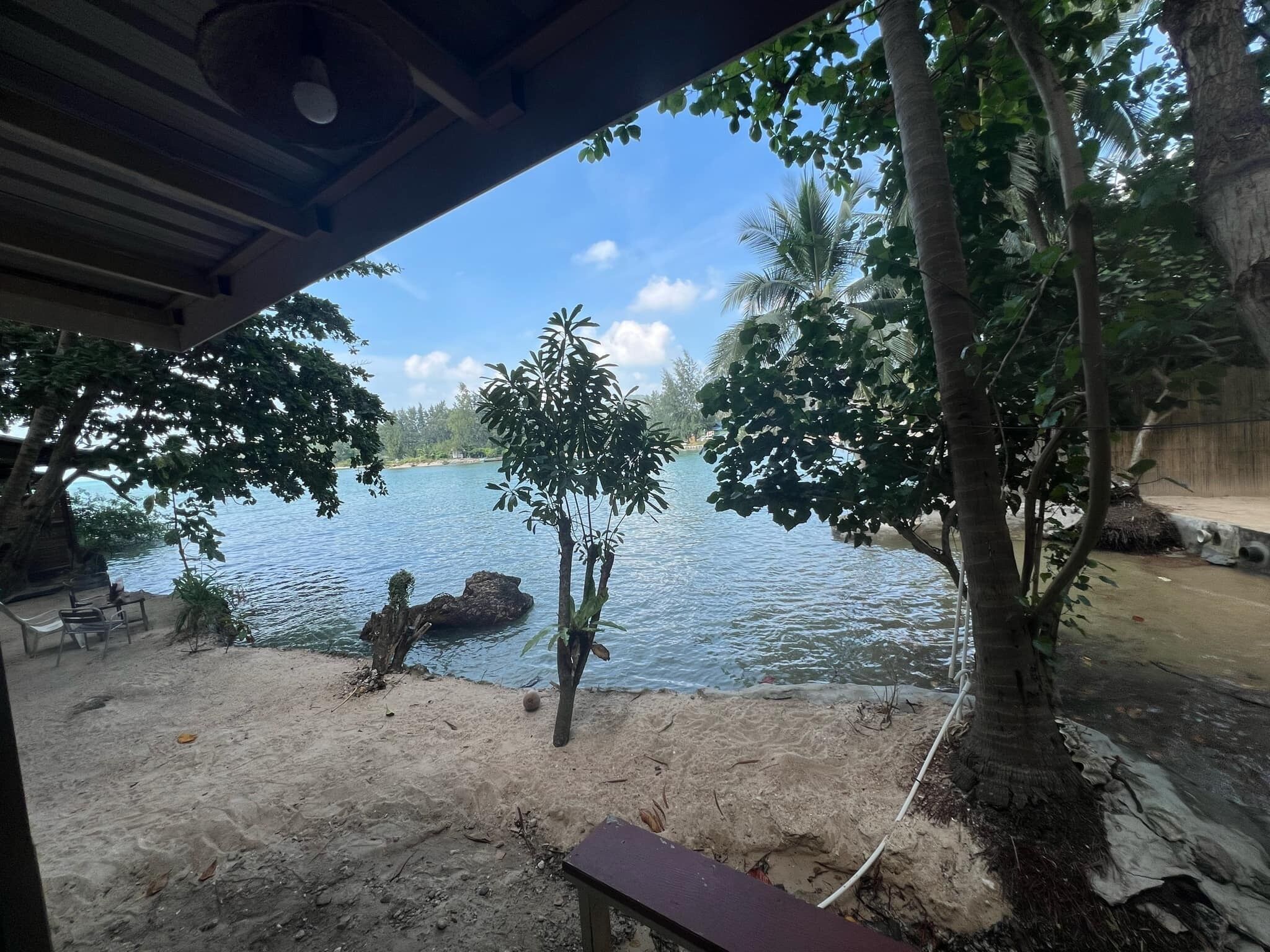 A beach view with a sandy area, a bench, and a tree in the foreground.