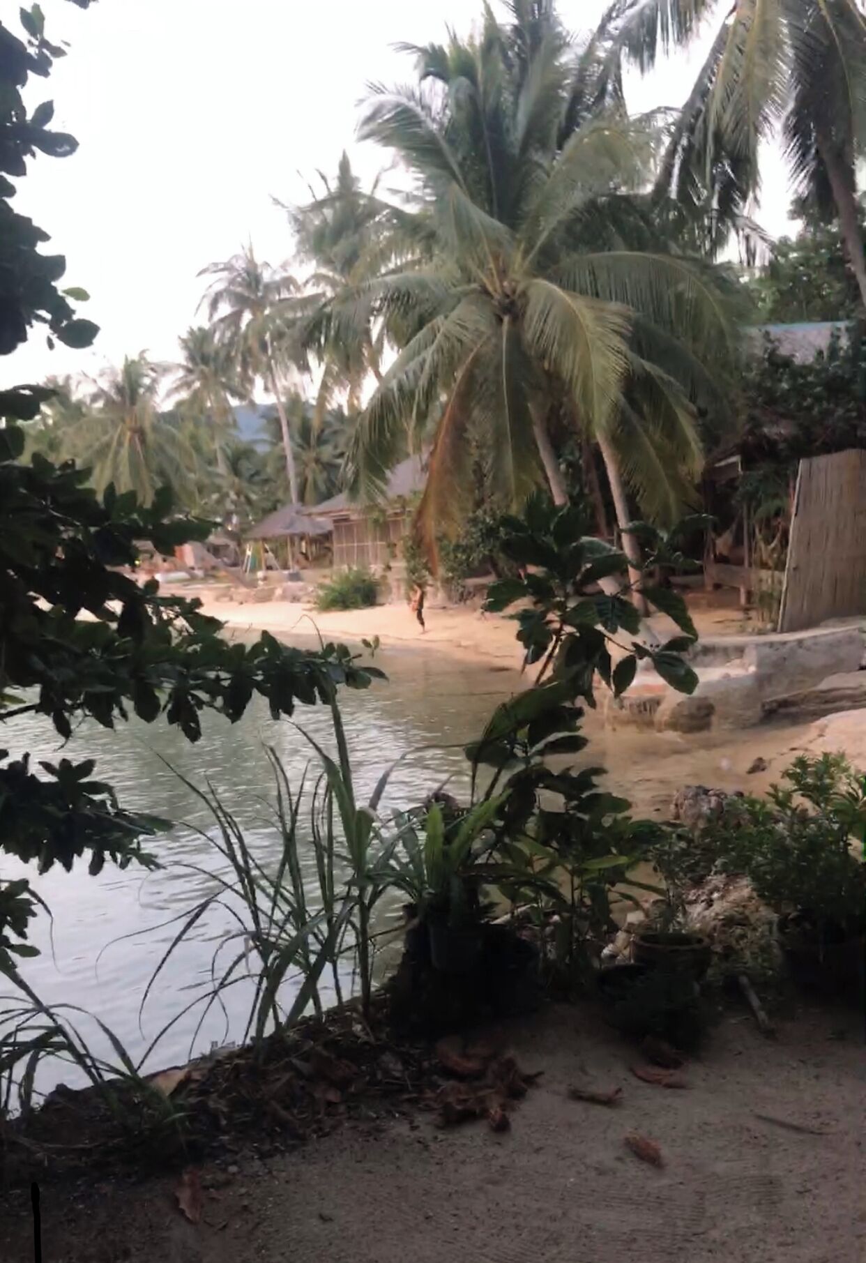 Bungalow, 1 Queen Bed, Sea View, Oceanfront | View from room