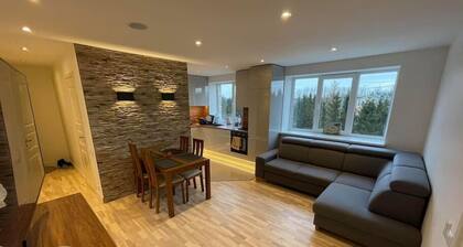 Luxurious stay at modern apartment (Cesis), Luxurious stay at modern apartment (Cesis)