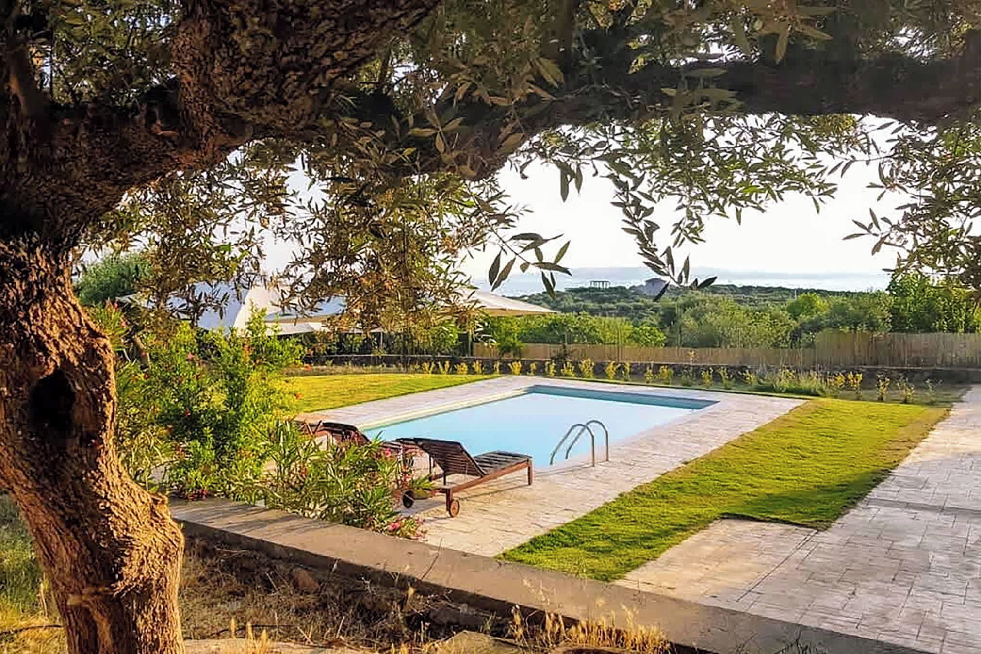 Une piscine rectangulaire bordée d’une terrasse carrelée, entourée d’une pelouse bien entretenue et de diverses plantes.