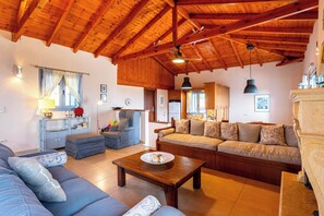 Télévision, cheminée, lecteur de DVD, livres