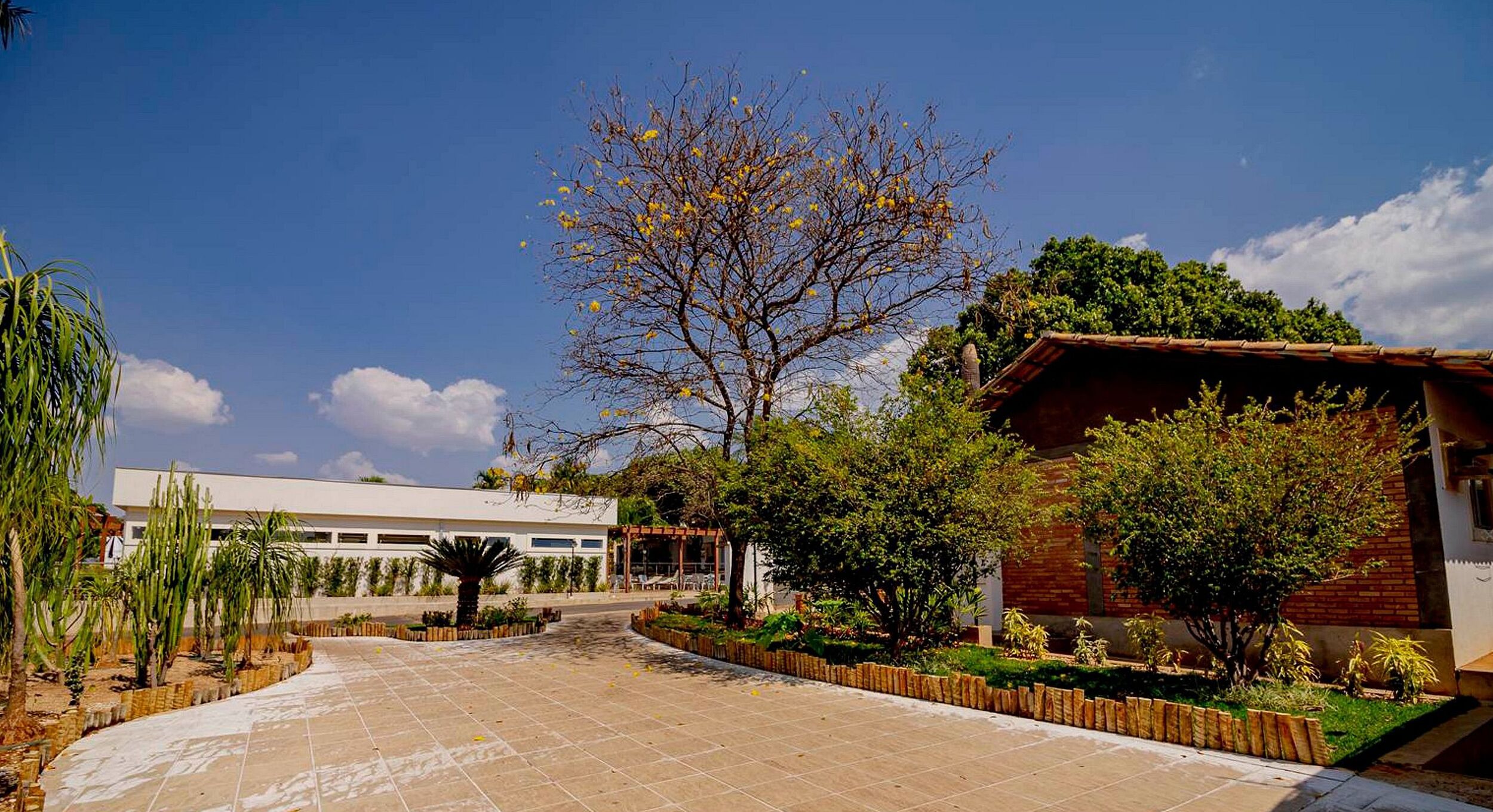 A courtyard with a building, a tree, and a garden.