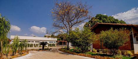 A courtyard with a building, a tree, and a garden.