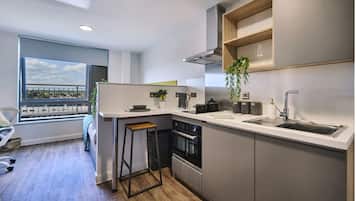 Estudio, 1 cama matrimonial, para no fumadores | Cocina privada