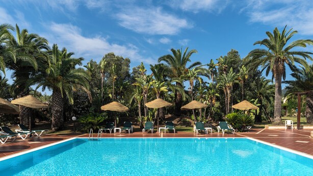 A swimming pool with lounge chairs and umbrellas, surrounded by palm trees.