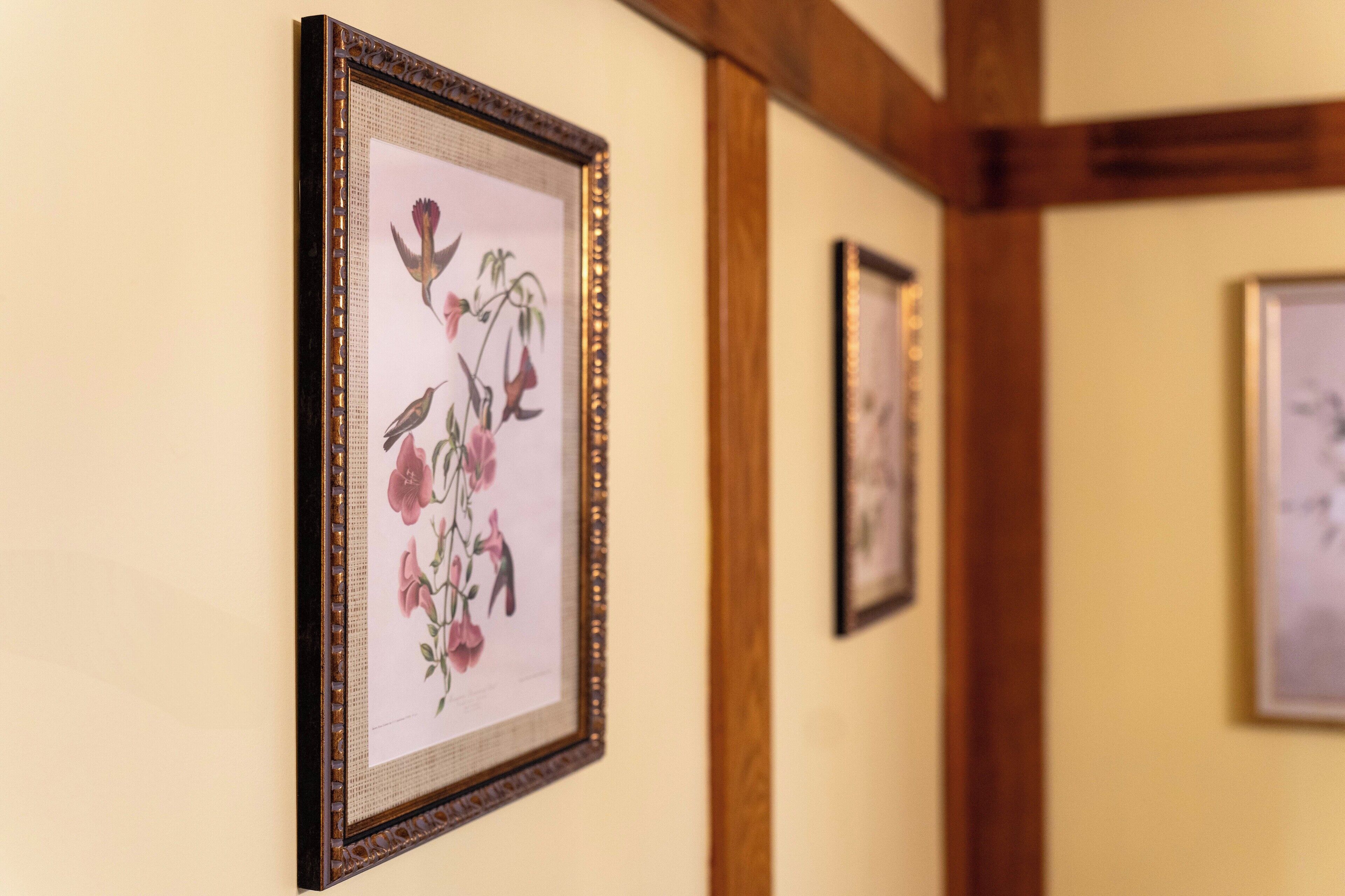 Framed botanical artwork on a wall in a corridor.