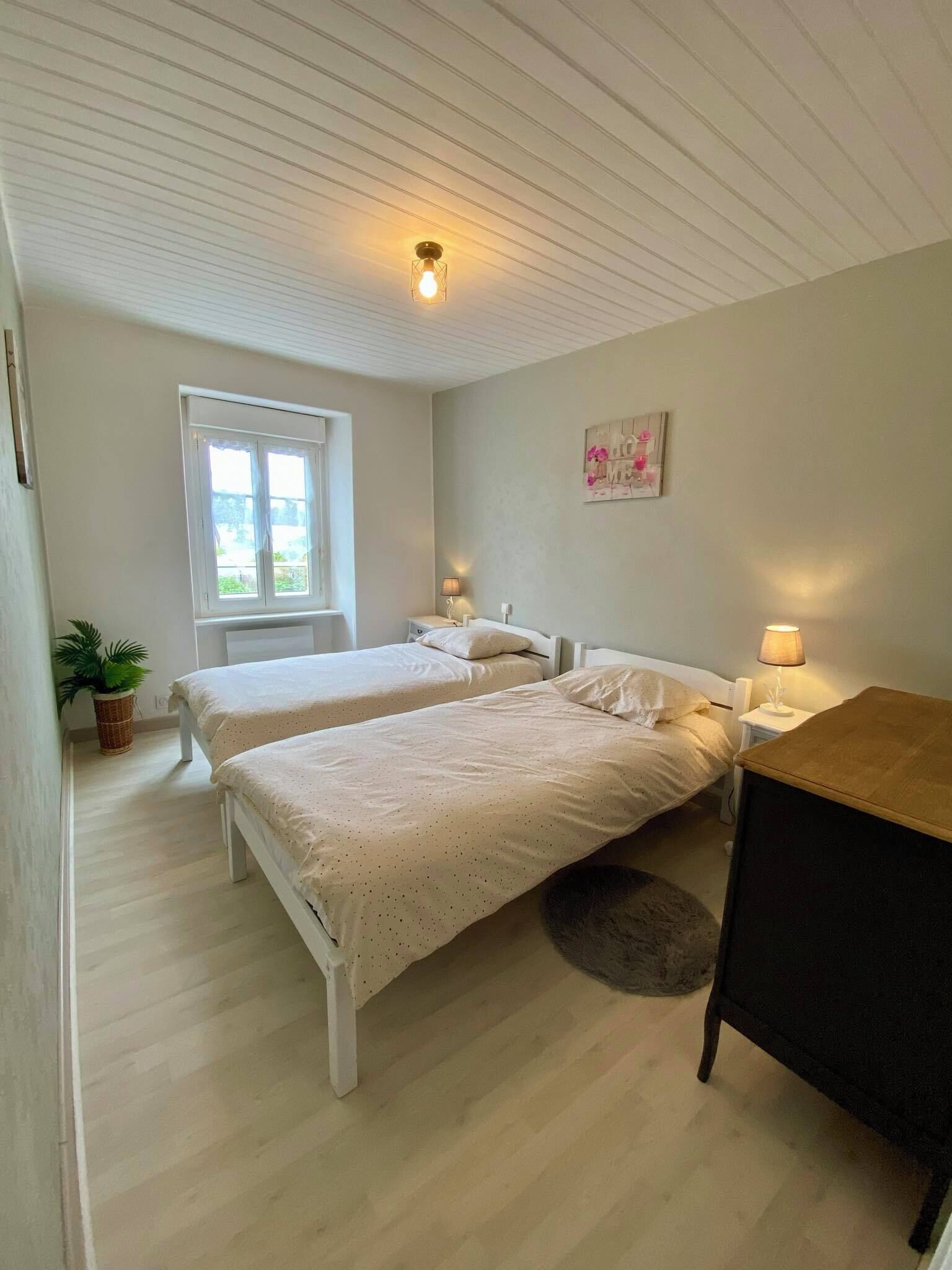 Ein Schlafzimmer mit zwei Betten, einem Fenster, einer Pflanze, einer Lampe und einem Bild an der Wand.