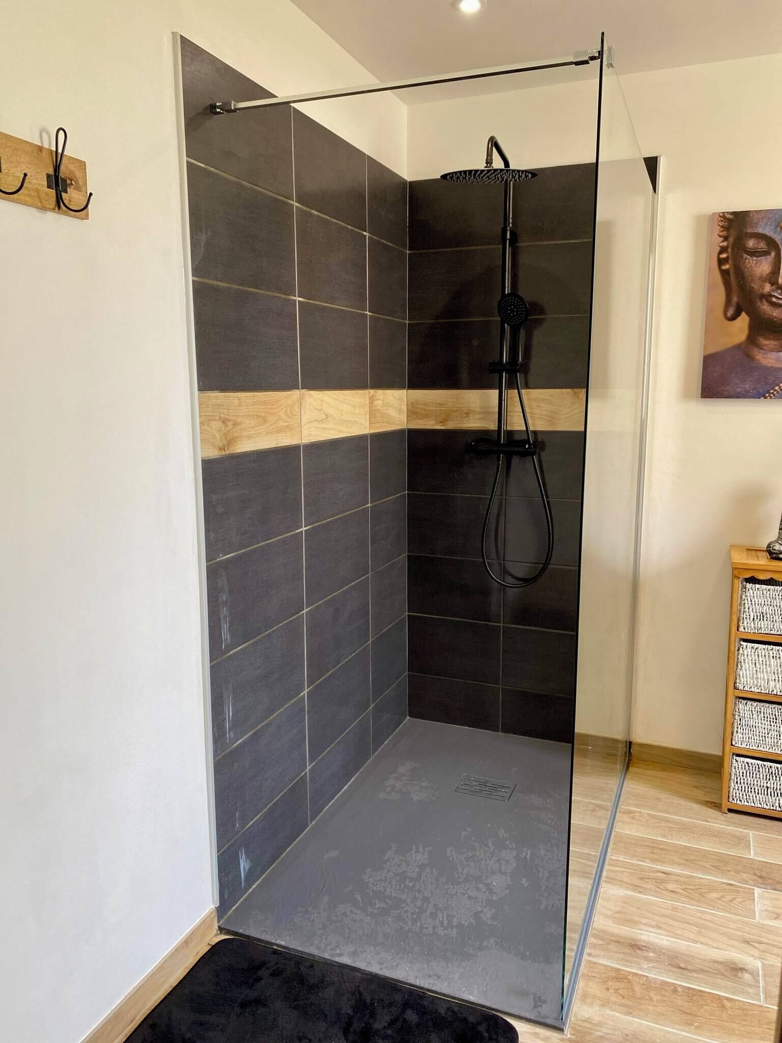 Shower, hair dryer