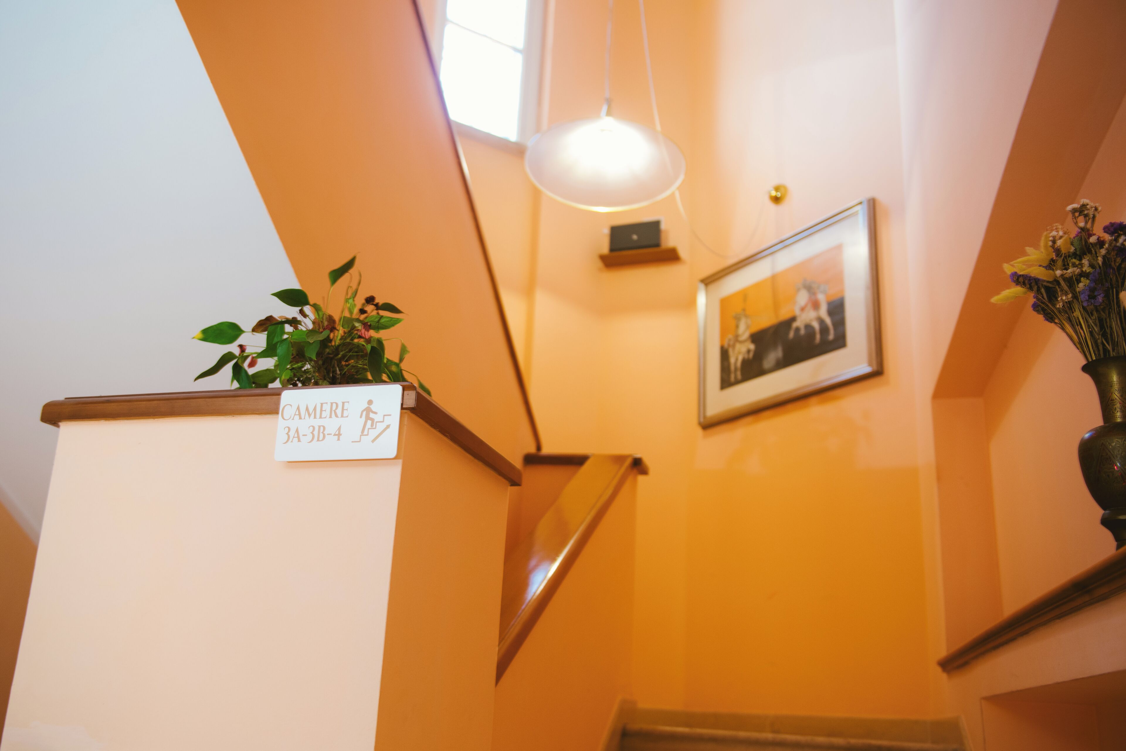 A staircase with a sign indicating a camera room, a framed picture on the wall, and a hanging light fixture.