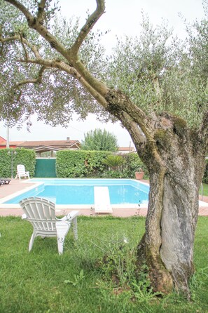 Una piscina con un árbol en primer plano, una silla blanca y una casa al fondo.