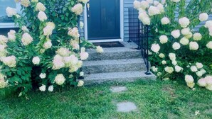 A house with a dark front door, number 74, and a small porch with steps. - Spacious Charming Kennebunk Home (Kennebunk)