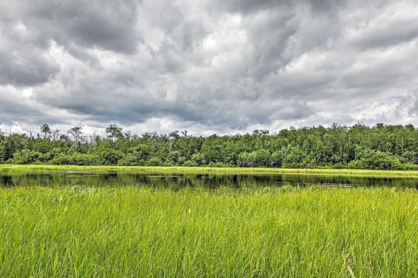 A natural landscape with a body of water, grassy fields, and a forested area under a cloudy sky.