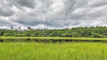 A natural landscape with a body of water, grassy fields, and a forested area under a cloudy sky.