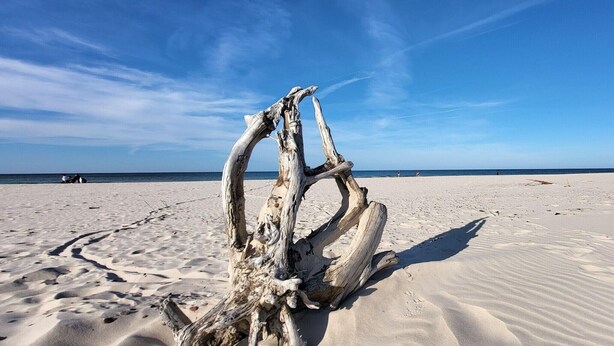 A driftwood structure on a sandy beach with a clear sky. - Comfortable holiday home, private garden, sauna (Smołdzino)