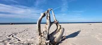 Comfortable holiday home, private garden, sauna