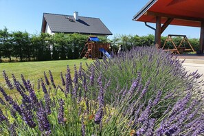 Property grounds - Comfortable holiday home, private garden, sauna (Smołdzino)