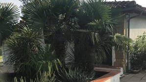 A paved patio area with a white planter box containing various plants, a stone pathway, and a poolside area. - Gîte with swimming pool in the Gers, 45 minutes from Toulouse.  (Gimont)