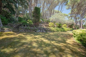A stone staircase leading up to a wooden deck surrounded by lush greenery and trees.