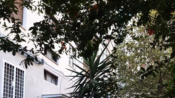 A building with a concrete facade, a metal gate, and a small garden area with a palm tree and a red bench. - Cozy apartment a stone's throw from the historic center of Rome (Roma)