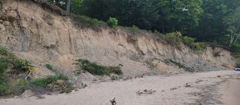 Hidden 4-bedroom Lakeview house in Lexington's Birchwood Nbrhd. <1m to Downtown.