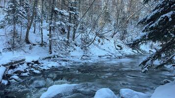 Een met sneeuw bedekt bos met een meanderende rivier.