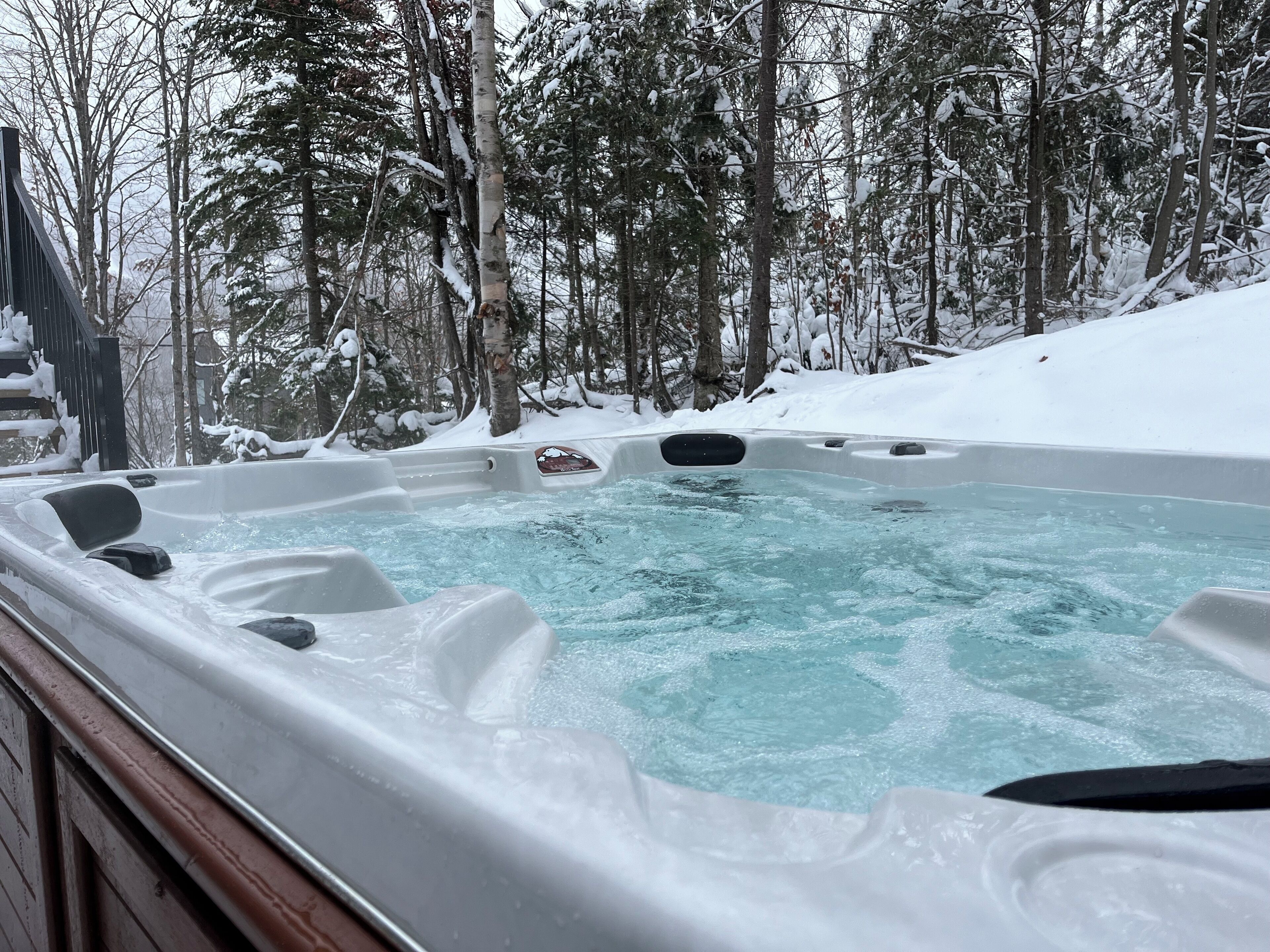 A hot tub surrounded by snow-covered trees.