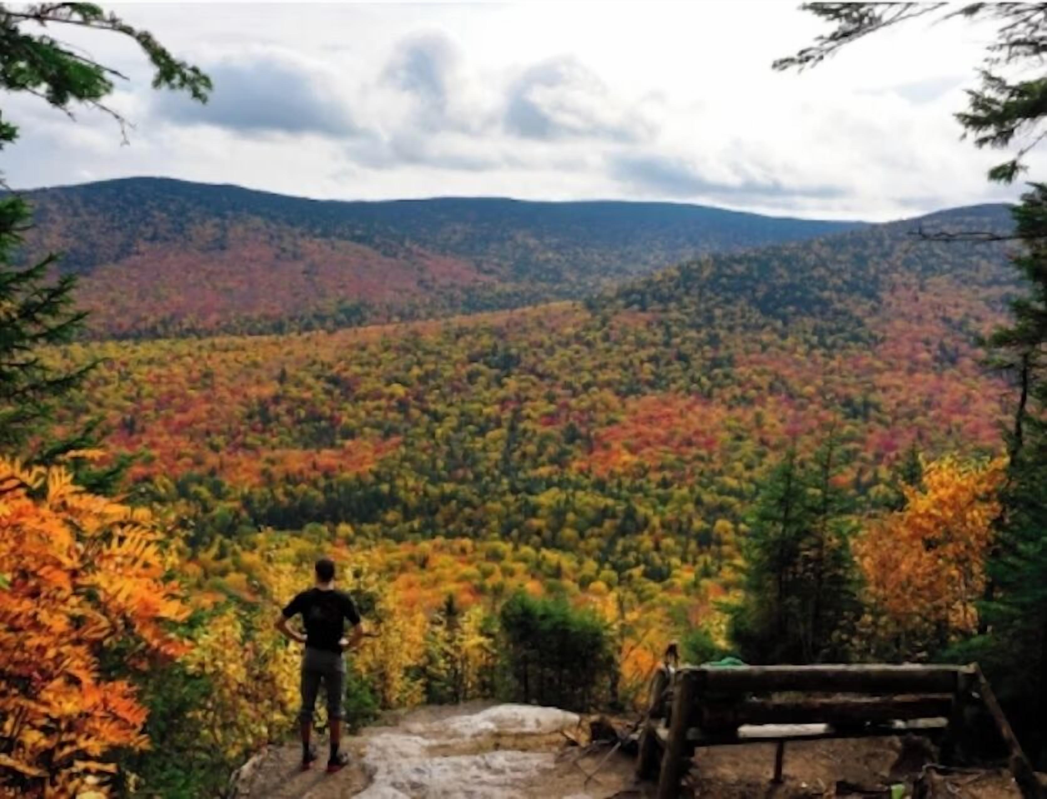A person standing on a rocky outcrop overlooking a forested valley with autumn foliage.
