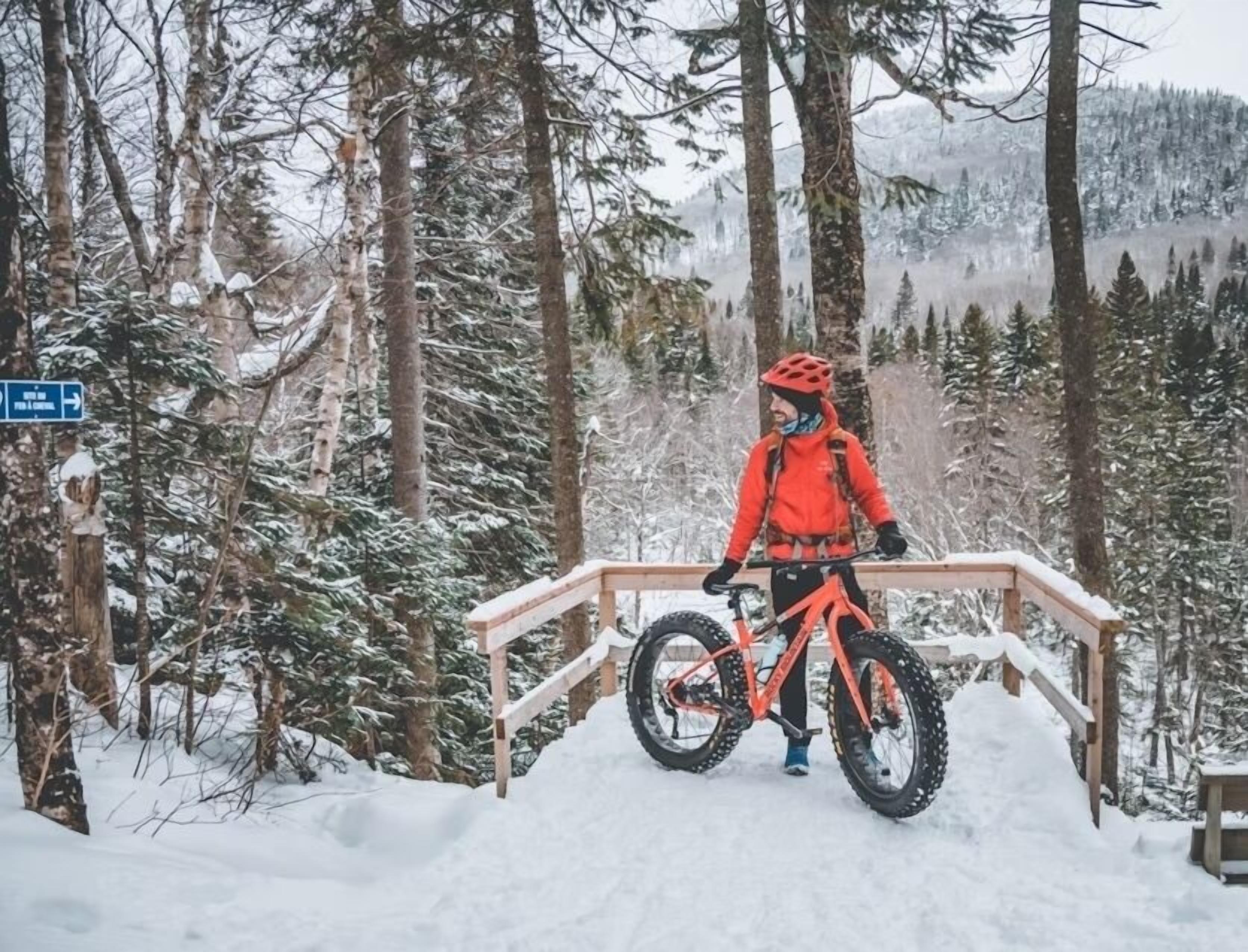 A person on a mountain bike in a snowy forest with a wooden railing.