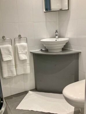 Shower, towels, soap, toilet paper