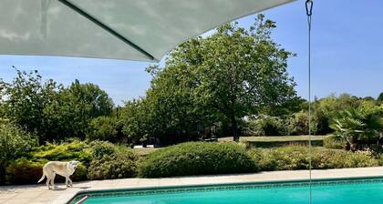 ChezBellaRose, Vincent Van Gogh gite