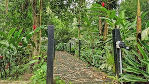 Exterior - Casa Auratus  (Cahuita)