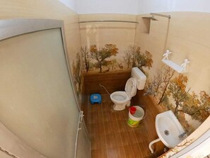 Shower, bidet, towels, soap