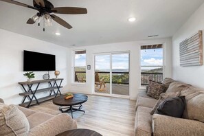 Télévision, cheminée, jeux vidéo, lecteur de DVD